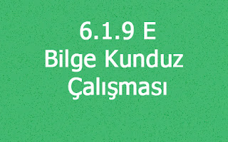 6.1.9 E - Bilge Kunduz Çalışması