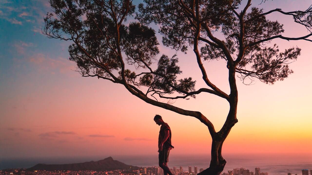 creative photographer standing on tree branch during sunset | 20 Street Photography Tips