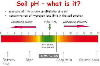 पीएच स्केल की अवधारणा और महत्व |  The Concept and importance of pH Scale in hindi