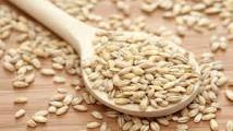 barley healthy food