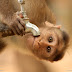 Help-Us-Caption-This-Photo-By-Jainendra-Kumar