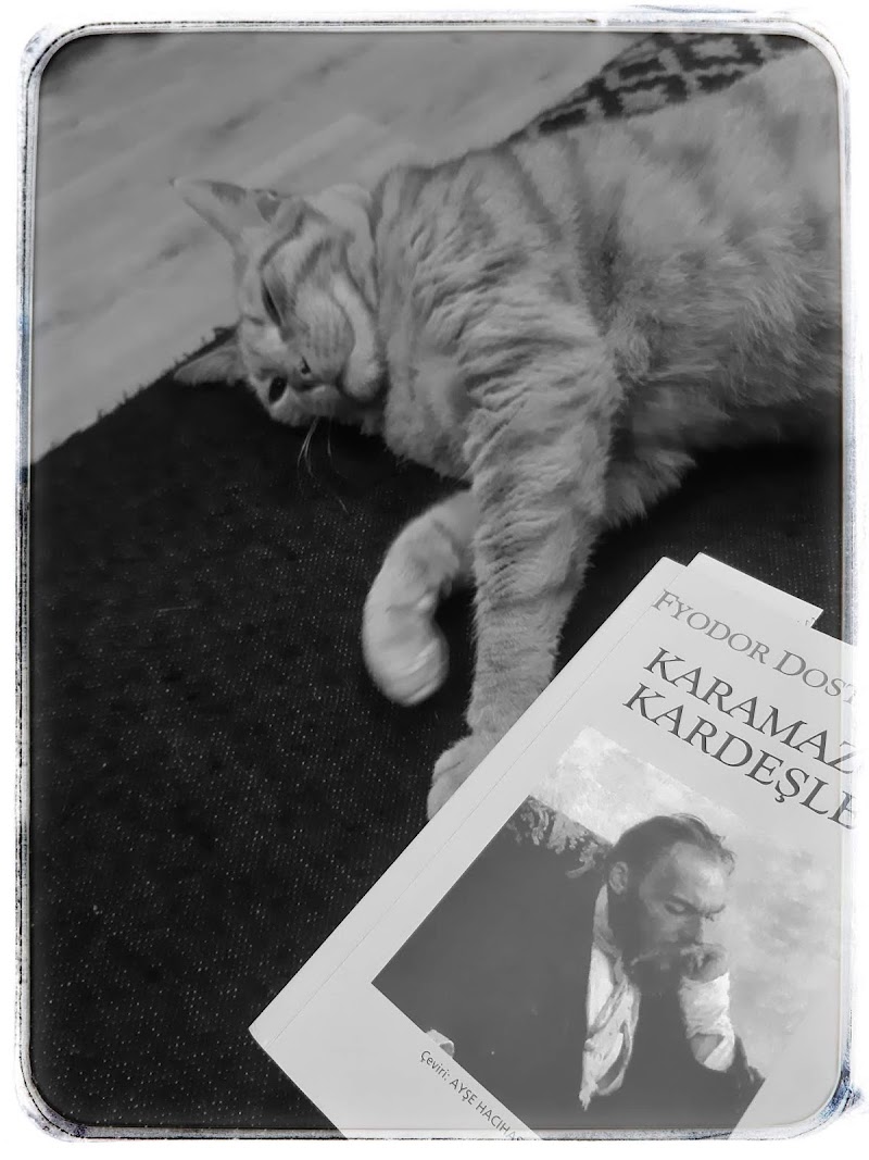 Karamazov Kardeşler -Dosyoyevski