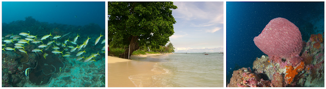 Tempat Wisata HALMAHERA TIMUR yang Wajib Dikunjungi (Provinsi Maluku Utara)