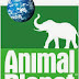 Animal Planet New Update DCW Key On Hotbird