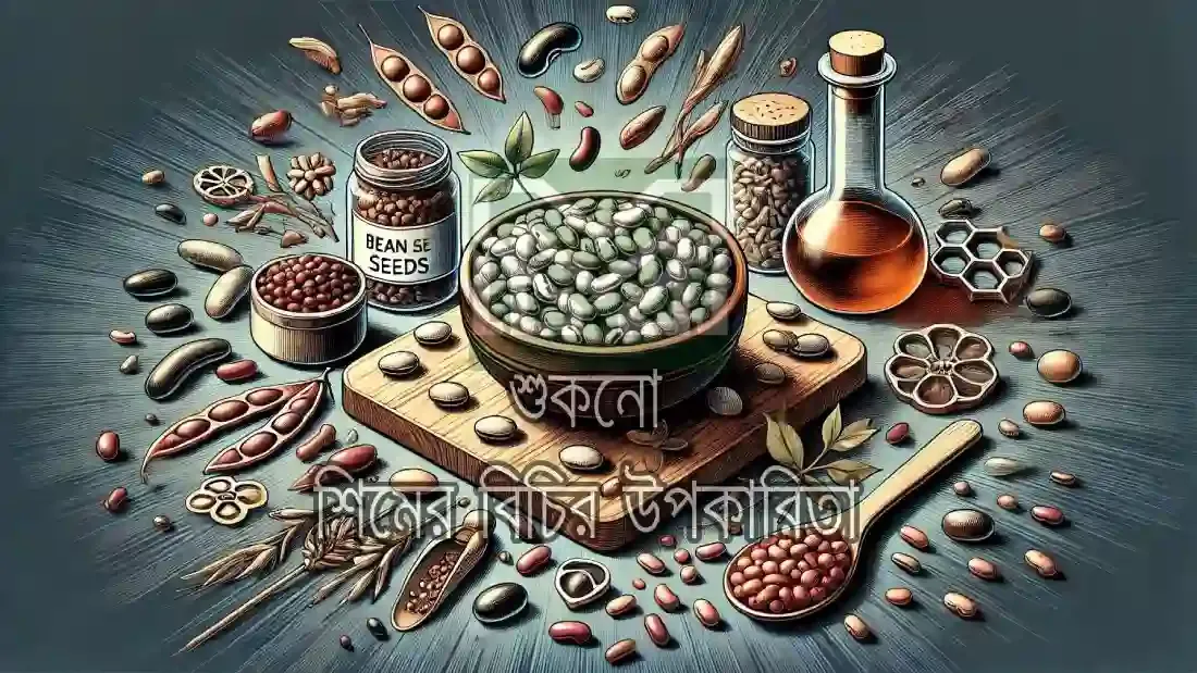শিমের বিচি ভাজা - শিমের বিচির দাম