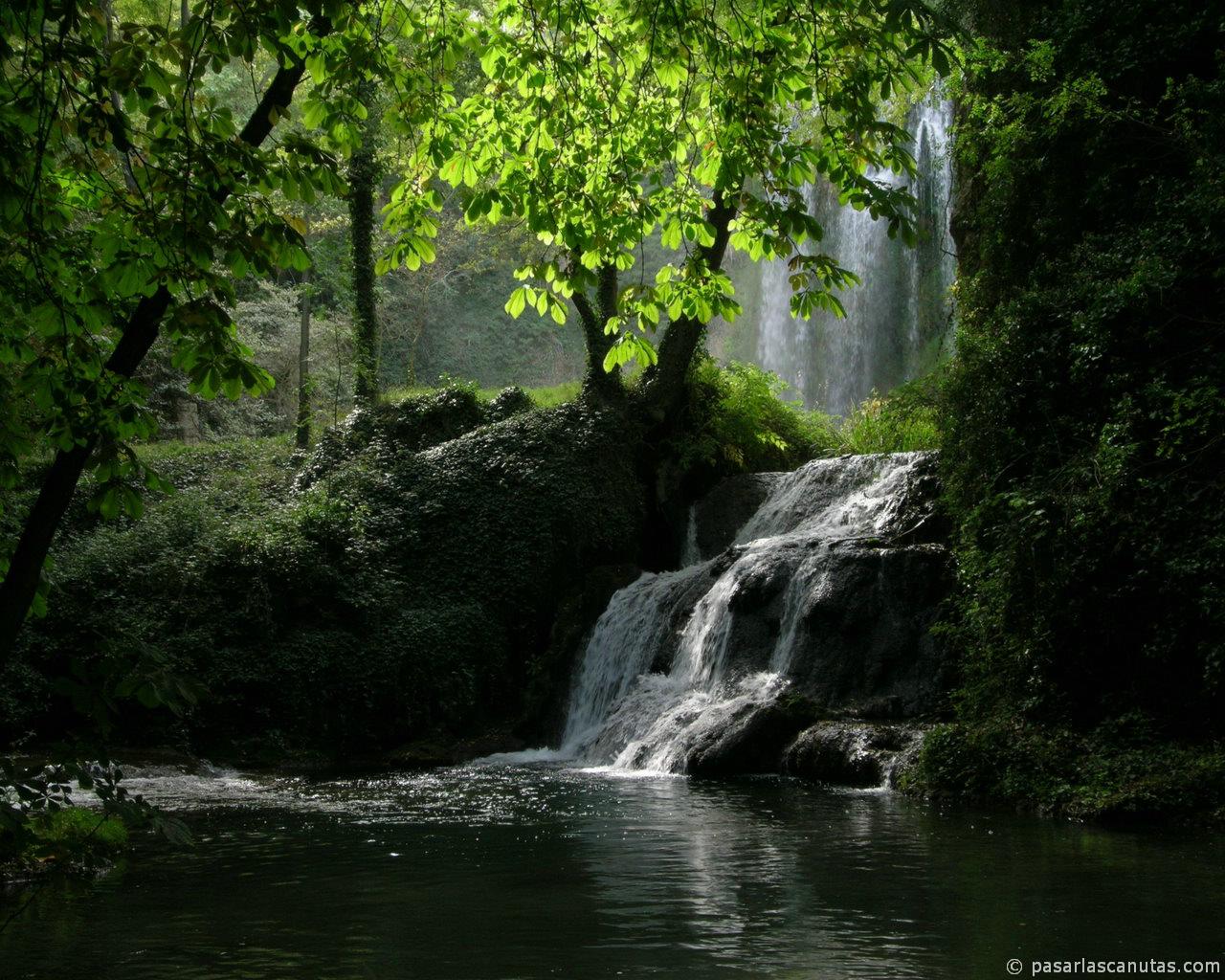 Wallpaper Pemandangan Gerobak Tanah Tua