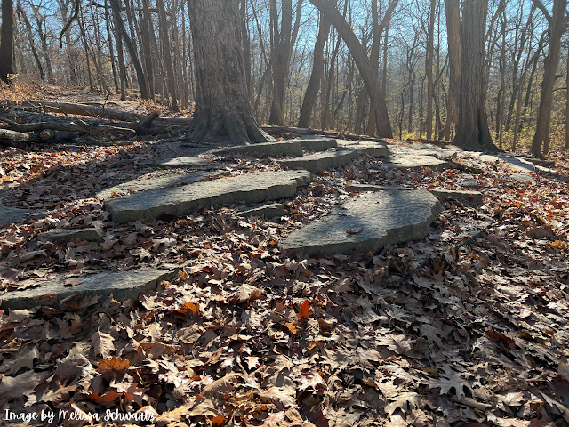 Slabs of stone fall along the side of the bluff seemingly on a soft bed of brown fall leaves some of which pick up almost an orangish hue in the sunlight at Waterfall Glen.