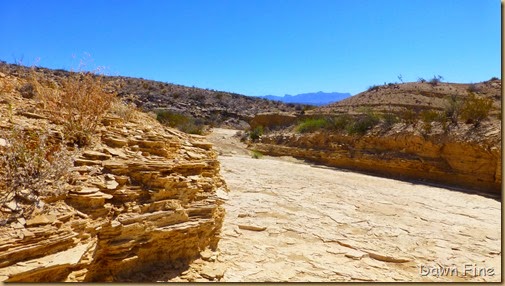 Terlingua rockhounding_051