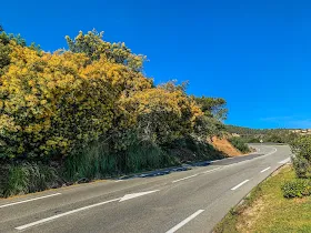 carbon road bike rental in Roquebrune sur Agens French Riviera Frejus Saint Tropez Estérel Massif Provence Col du Bougnon