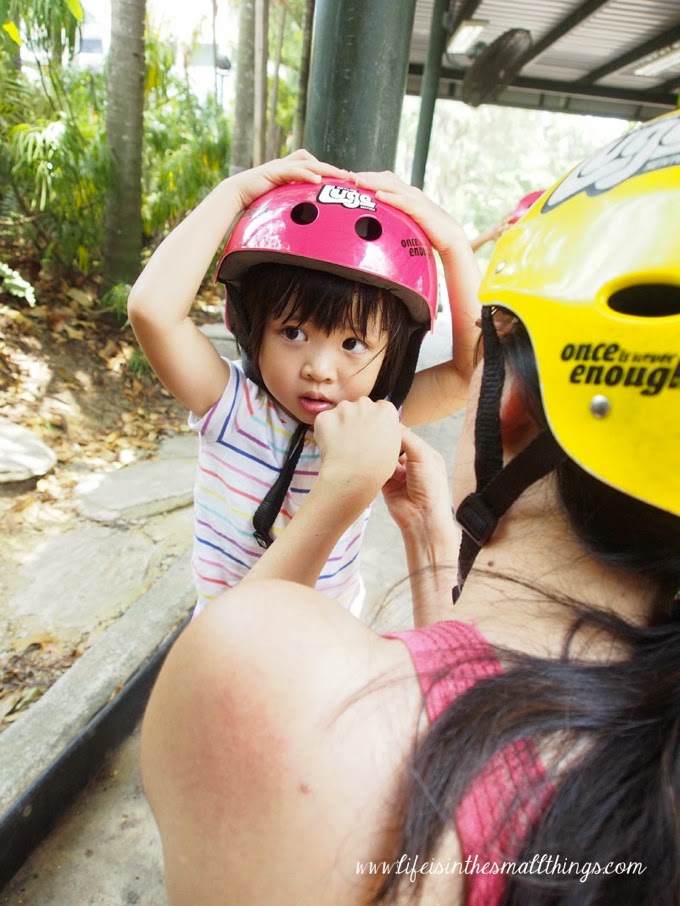 Luge4