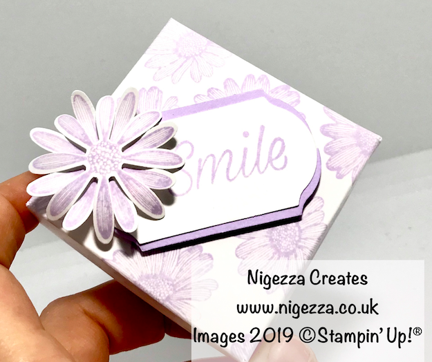 Nigezza Creates. Stampin' Up!  Daisy Lane Hand Stamped Gift Box 