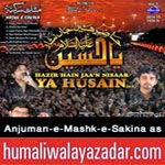 http://audionohay.blogspot.com/2014/10/anjuman-e-mashk-e-sakina-as.html