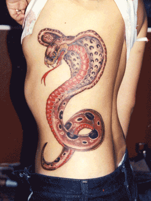 w kobra na boku Tagi tattoo tattoo designs tatua e w e wzory tatua y