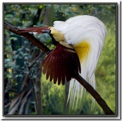 clip_image012