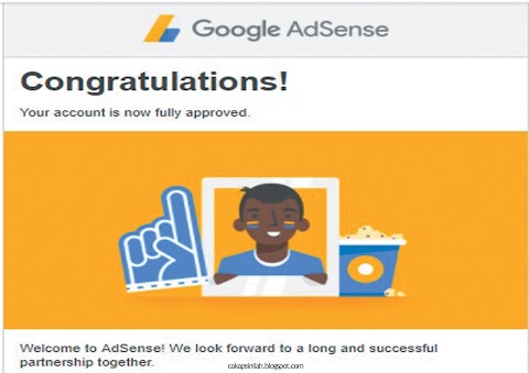 Google Adsense Akhirnya Diterima !