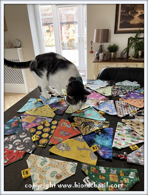 The BBHQ Midweek News Round-Up ©BionicBasil® Melvyn Picking Out The New Bandanas for The April Collection