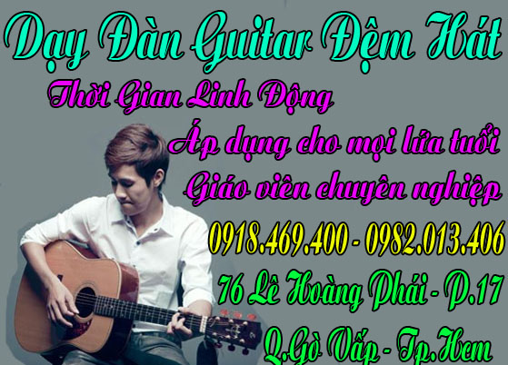 day dan guitar 2