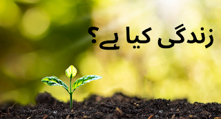 "زندگی کیا ہے؟ " مقصد زندگی اور تخلیق انسان کی تخلیق کے چند اہم پہلو