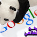 جوجل تستعد لإطلاق Google Panda بعد شهر من الآن