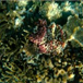 View album