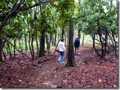 D&T under rhododendron canapy on the Nature Trail