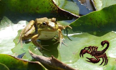 El Escorpión y la Rana. Es parte de su naturaleza.