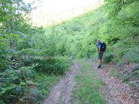 Borovnica - Mluša staza hiking slike