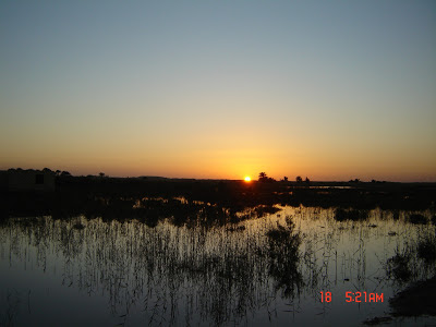 fayoum | duck hunting in fayoum