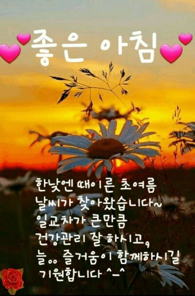 아침인사 이미지