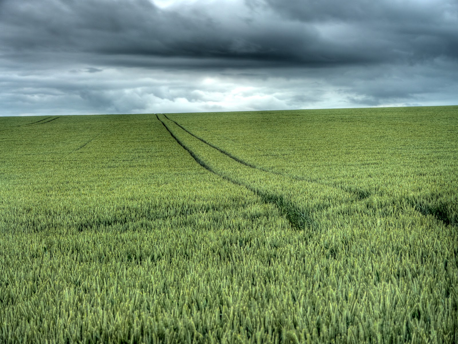 P1120828_2_3_4_5_6_7_tonemapped.jpg