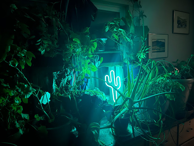 houseplants on display in the dark with a green fluorescent saguaro-shaped light