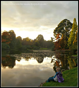 Autumn reflections and Fall colour, National Trust Sheffield Park Garden