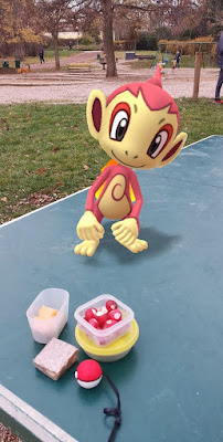 Shiny Chimchar a Metabolic Balance oběd do kapsy