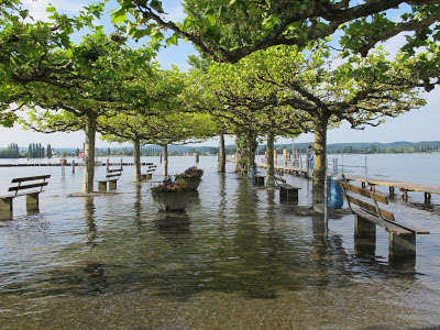 Hochwasser Bodensee, Ermatingen, Bodensee Forum, Hochwasser, 2013, Bodenseeforum, Bodensee,