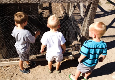 boys and animals (1 of 1)