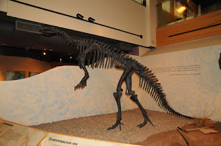 Tyrannosaurus rex Wyoming State Museum