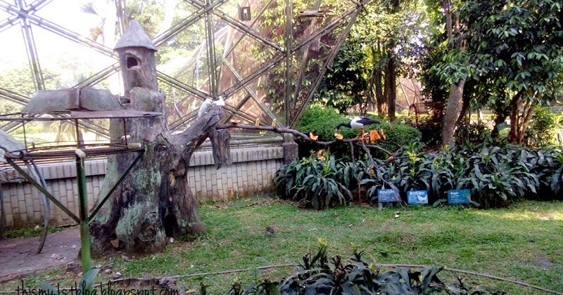 Taman Burung Taman Mini Indonesia Indah