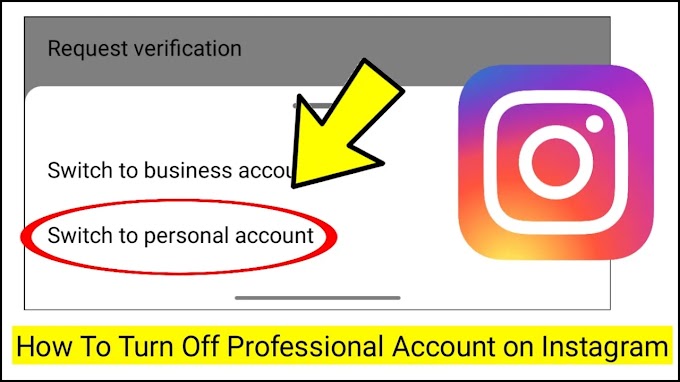 How To Turn Off Professional Account On Instagram