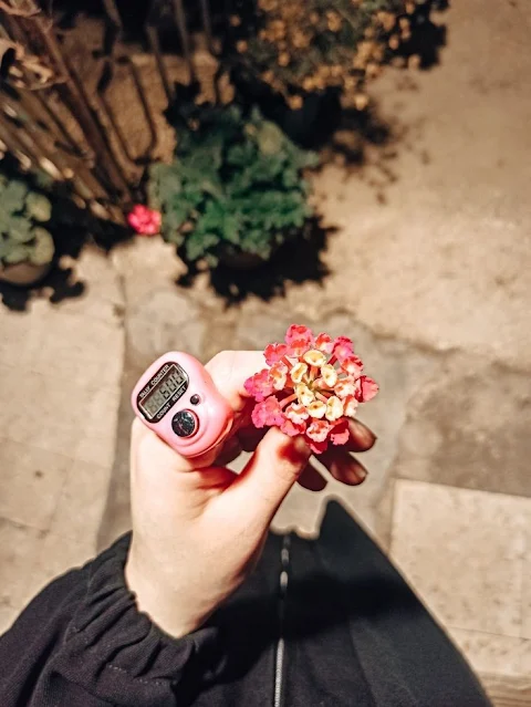 صور بروفايل