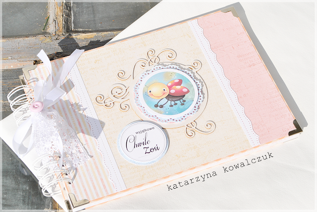 album na zdjęcia dla dziecka z biedronką scrapbooking