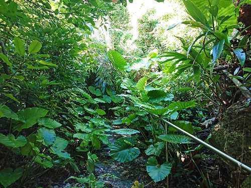 江洲グスク(江洲城跡)の写真