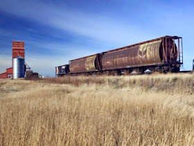 http://www.thestarphoenix.com/business/Grain+producers+says+railway+costing+review+needed/10878427/story.html