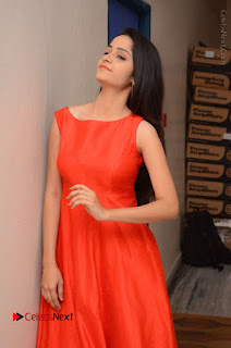 Telugu Actress Divya Nandini Stills in Orange Sleeveless Gown at Chennai Chaitrama Movie le Launch Event  0118.JPG