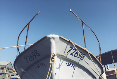 Abandoned Ship near Coast