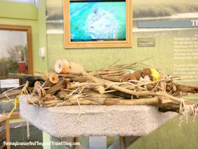 The Wetlands Institute in Stone Harbor New Jersey