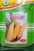 jual benih, jagung manis, jagung hibrida, paragon, benih pertiwi, toko pertanian, toko online, lmga agro