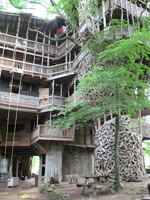 The World's Biggest Treehouse (14) 11