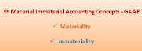 Material Immaterial Accounting Concepts