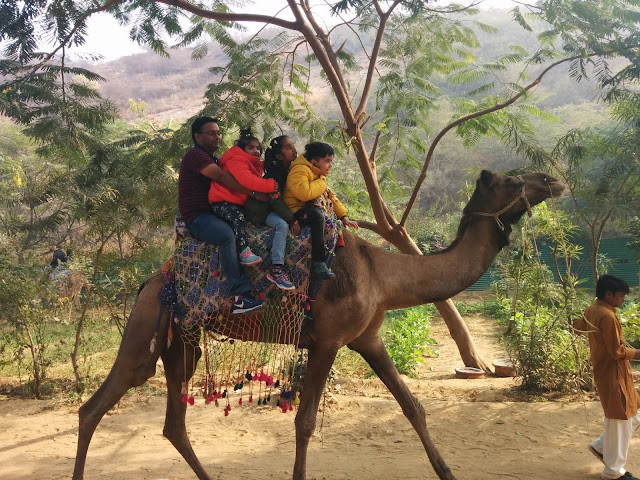 Camel Ride