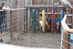2011-10-10_211